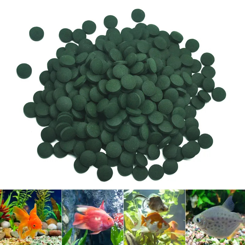 100-3000pc High Purity Spiruli - огляд і ціна Marine Aquarium Bacteria
