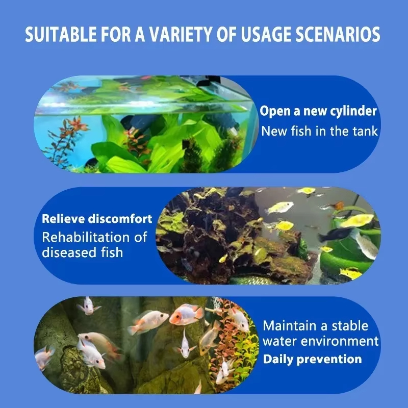 SIKEZHAN Fish Disease Treatmen - огляд і ціна Marine Aquarium Bacteria