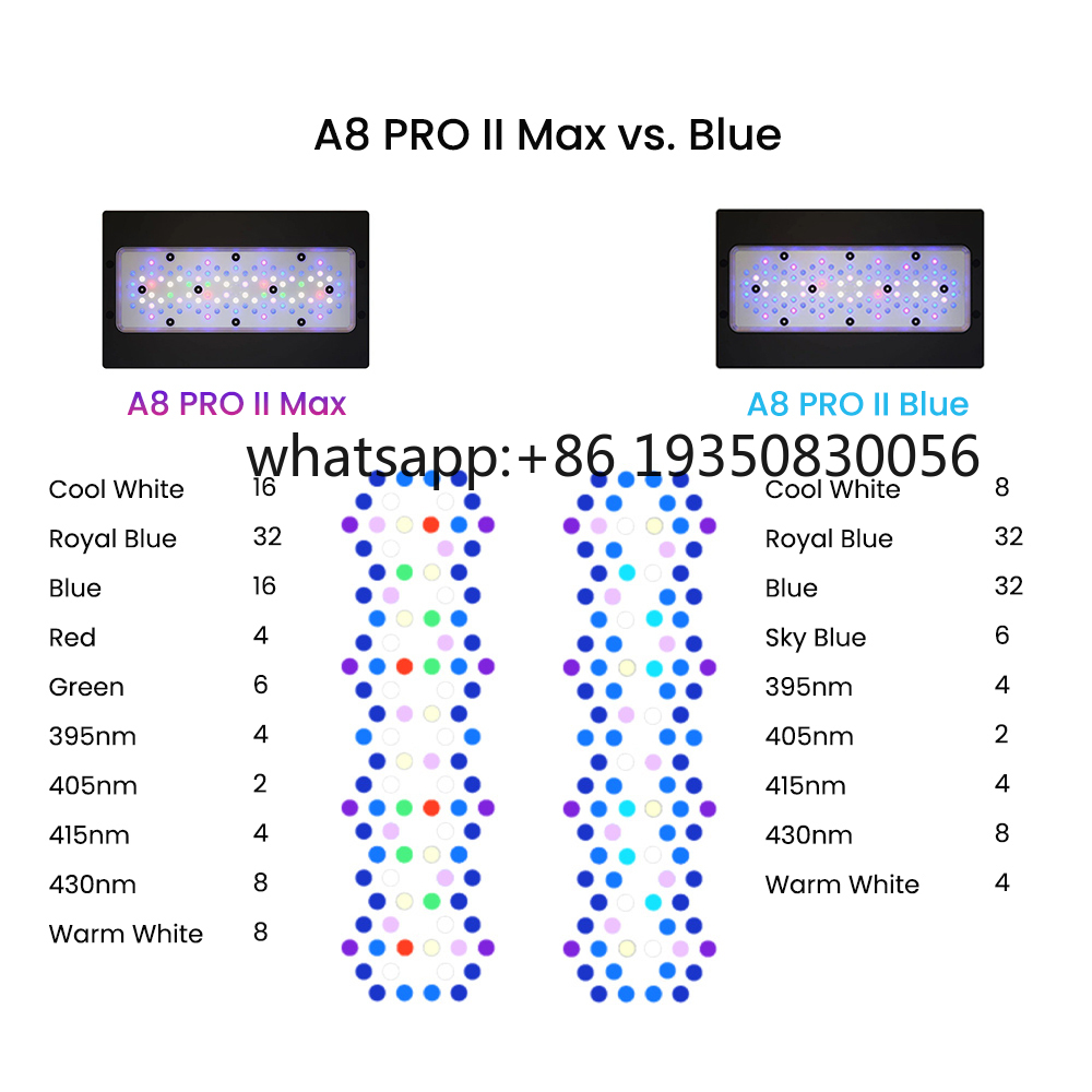 2026-A8 PRO II Max and Blue 24 - огляд і ціна Marine Aquarium & Regional Centre Photos