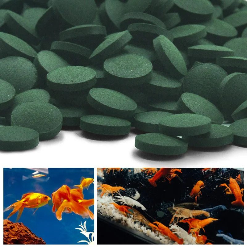50-300Pcs High Purity Spirulin - огляд і ціна Marine Aquarium Bacteria