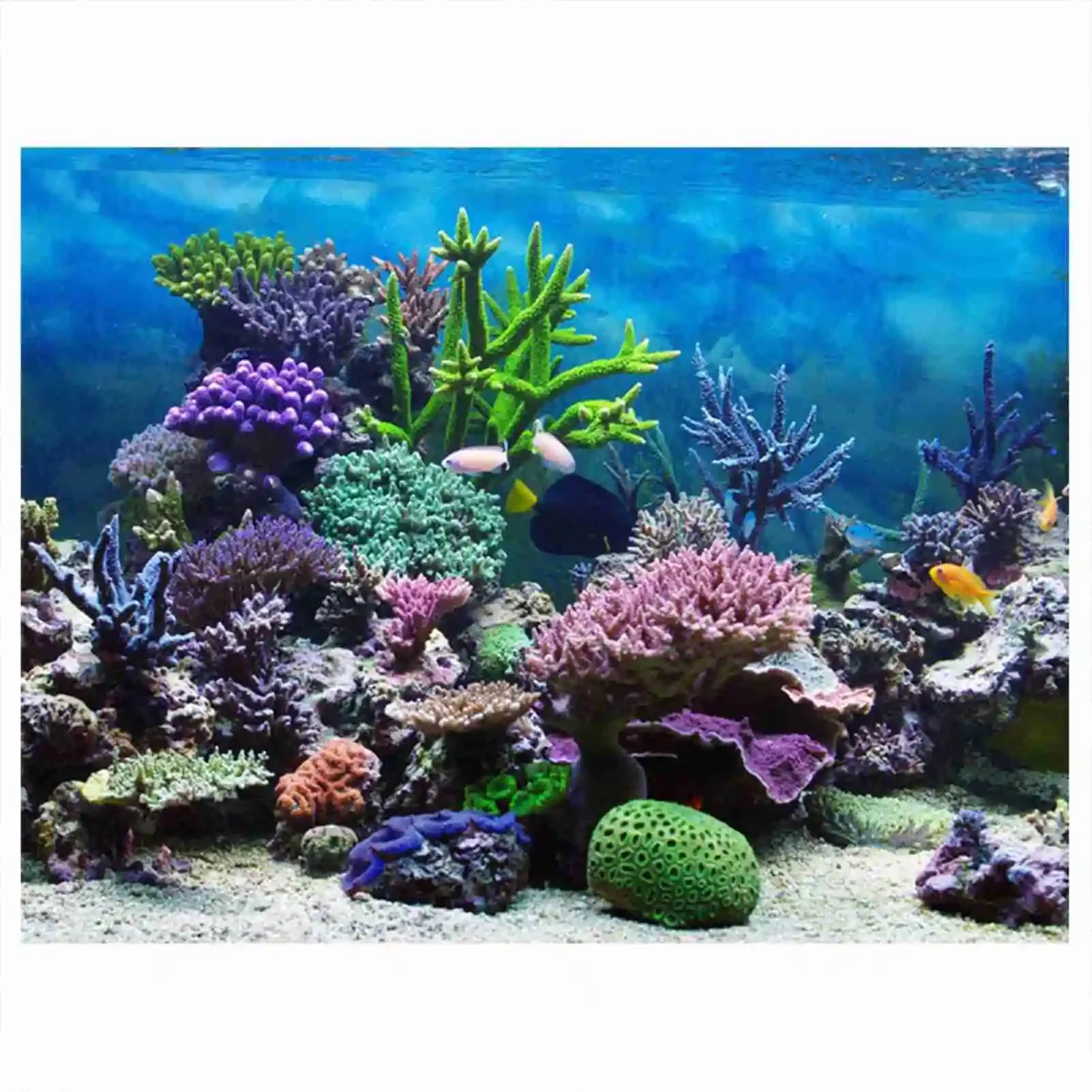 3D Aquarium Landscape Poster R - огляд і ціна Marine Aquarium Glue