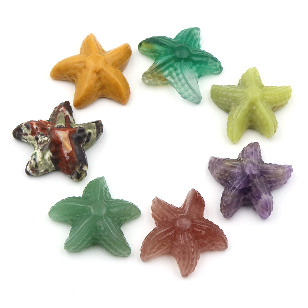 35mm Starfish Shape Statue Mar - огляд і ціна Marine Aquarium & Regional Centre Photos