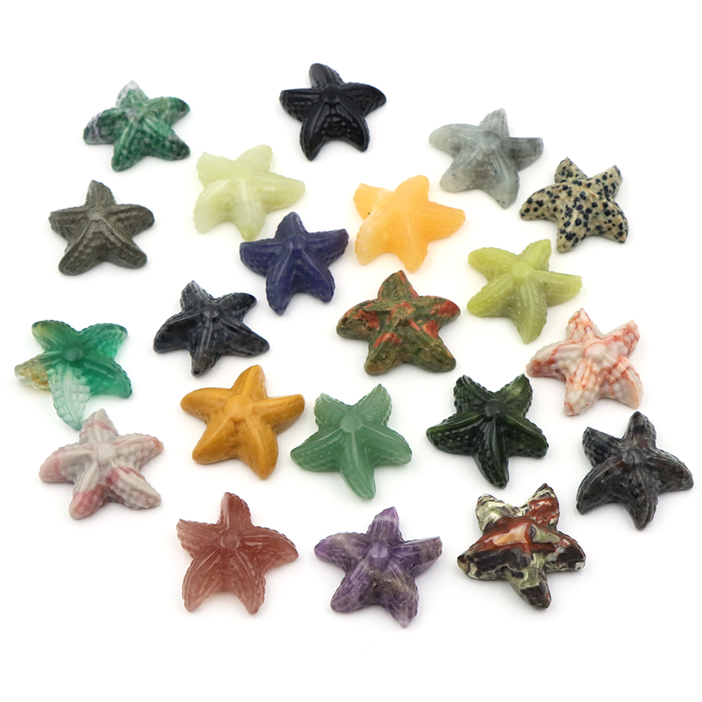 35mm Starfish Shape Statue Mar - огляд і ціна Marine Aquarium & Regional Centre Photos