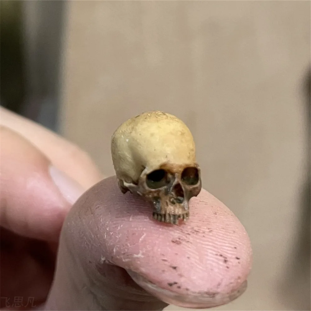 Mini Skull High Quality Miniat - огляд і ціна Marine Aquarium Mini