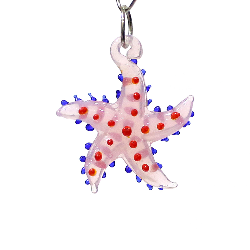 Cute Marine Animal Starfish Ch - огляд і ціна Marine Aquarium & Regional Centre Photos