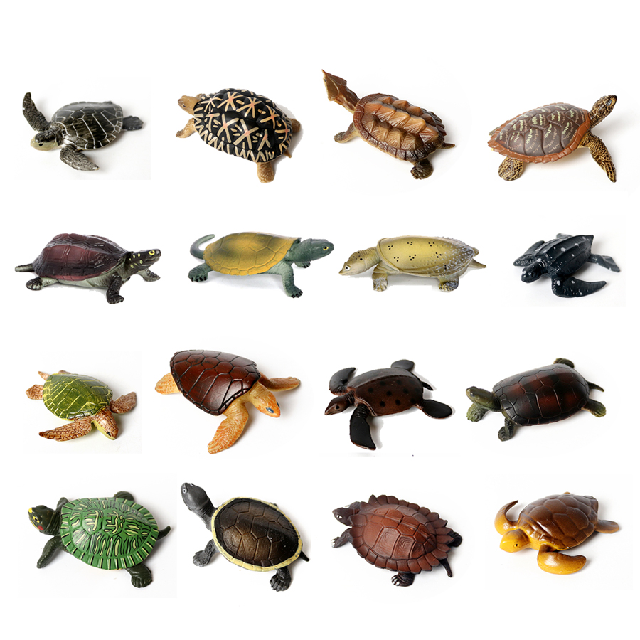 Realistic Miniatures Marine Li - огляд і ціна Marine Aquarium & Regional Centre Photos
